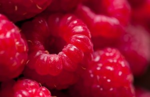 raspberries-407x265